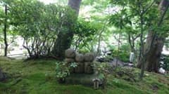 花様専用のサムネイル