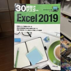 30時間でマスターExcel 2019のサムネイル