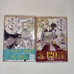 悪役令嬢の中の人～断罪された転生者のため嘘つきヒロインに復讐いたします～ 3・4のサムネイル