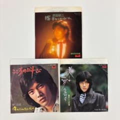 再燃！】勝手にしやがれ/こころの叫び/美しい愛のかけら レコード 3枚
