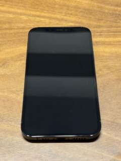 iPhone 12 pro パシフィックブルー 256 GB SIMフリーのサムネイル