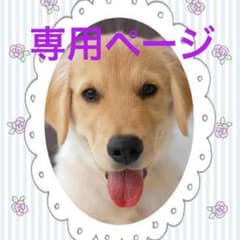 遊戯王 カード 3104さん専用のサムネイル