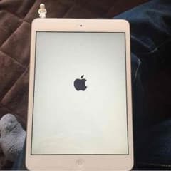 iPad mini retinaのサムネイル
