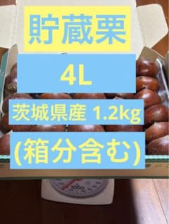 貯蔵栗 4L茨城県産 1.2kg (箱分含む)のサムネイル