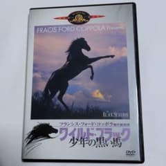 ワイルド・ブラック/少年の黒い馬('79米)〈2004年9月27日までの期間限…のサムネイル