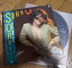SORRY」山根麻衣 Mai Yamane LPレコード - メルカリ