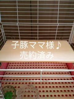 子豚ママ様♪フルオーダー品のサムネイル