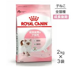 子うさぎちゃん様専用 キトン 2kg×3袋セット 新品未開封 送料無料 正規品のサムネイル