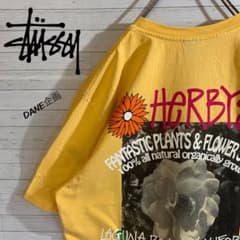 【STUSSY】ステューシー 希少デザイン バックプリント Tシャツのサムネイル