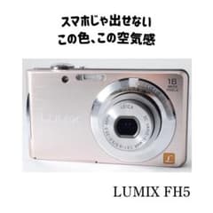 CCD❤️LUMIX ピンク デジカメ スマホ転送 平成レトロ エモい写真