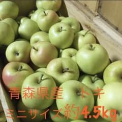 青森りんご トキ　訳ありのサムネイル