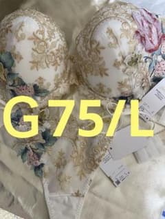 サルート 店舗限定 おやゆび姫 19グループ⭐️IV⭐️G75/L新品タグ