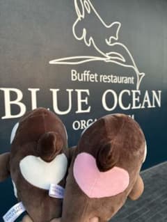 須磨シーワールド シャチ オルカくじ 新色 ショコラデュオカラー 4等