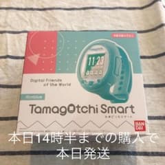 【本日発送】たまごっちスマート　ミントブルーのサムネイル