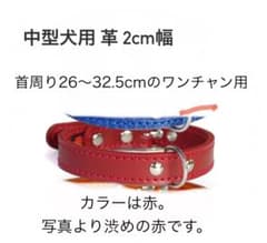 首輪 中型犬用 革 2cm幅のサムネイル