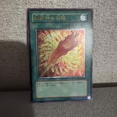 遊戯王 鳳凰神の羽根　レリーフ