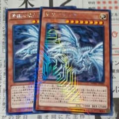 遊戯王 青眼の亜白龍 2枚のサムネイル