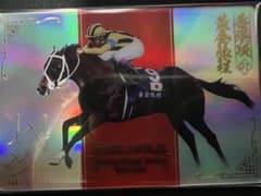 サラブレッドホースコレクション ステイゴールド キャンペーン当たり 武豊のサムネイル