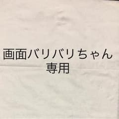 画面バリバリちゃん 専用ページのサムネイル