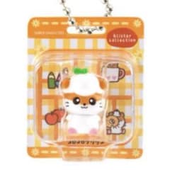 サンリオ パッケージミニチュアコレクション コロコロクリリンのサムネイル