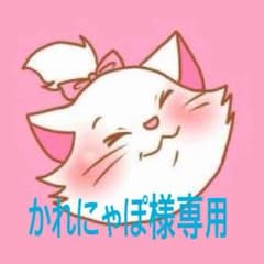 オス用服と未使用オモチャセットのサムネイル