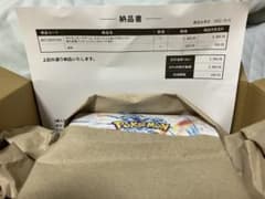 強化拡張パック レイジングサーフ BOX シュリンク付き ポケセン産