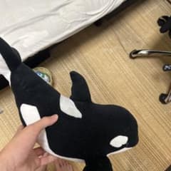 Ishiwata クジラのぬいぐるみのサムネイル