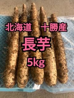 【残りわずか】長芋　5kg 北海道　十勝産のサムネイル