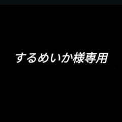 するめいか@関連毎回固ツイ必読様専用のサムネイル