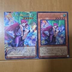 遊戯王 ハーピィレディ 華麗なる分身 オーバーフレームのサムネイル