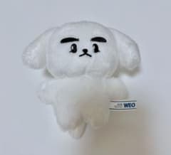 威神V WayV シャオジャン マスター10cmぬい ドクムンイ - メルカリ