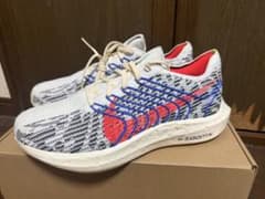 ナイキ ペガサスターボ ネイチャー 26.5cmのサムネイル