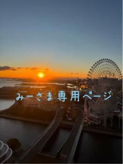 みーさま専用ページのサムネイル