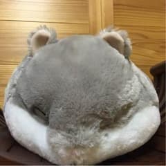 ころはむ コロン もっちり ジャンくんのサムネイル