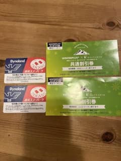 ゴルゴ様専用☆高鷲スノーパーク　ダイナランド　共通リフト1日券　大人2枚のサムネイル