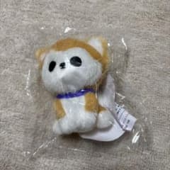 m54558319032_1.jpg?1740147884