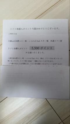 白樺高原国際スキー場　しらかば2in1スキー場　リフト券のサムネイル