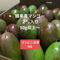 青マンゴー 20個以上 50g以上 摘果青マンゴー2㌔ 50g以上〜 - メルカリ