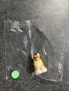まてぼうけ 犬 3 ごはん 付き コーギー ガチャガチのサムネイル