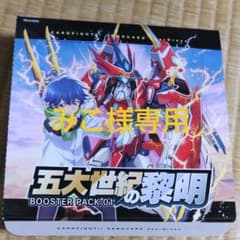 みこ様専用のサムネイル