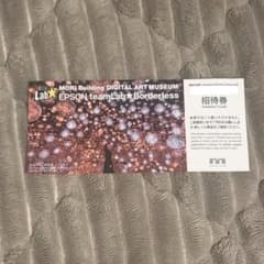 チームラボボーダレス麻布台 招待券1枚 - メルカリ