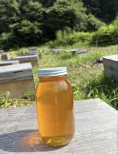 長野県長野市若穂保科で採れたはちみつ 1200g 2本 No.54 結晶化値下げ 長野県長野市若穂保科で採れたはちみつ 1200g 1本 No.81 結晶化ラスト