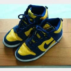 Nike dunk higi pro sb 20周年モデル　27.5　大幅値下げのサムネイル