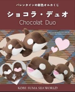 須磨シーワールド シャチ オルカくじ 新色 ショコラデュオカラー 4等