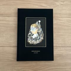 junaida ジュナイダ UNDARKNESSのサムネイル
