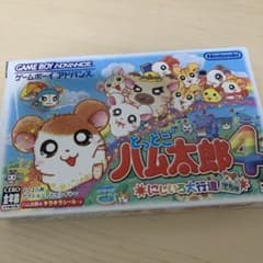 m54570888990_1.jpg?1714223833