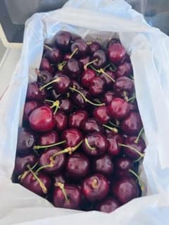 コストコ　チェリー2k g 大号高級贈答 コストコ チェリー2kg 爆大号高級贈答 - メルカリ