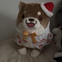 【タグ付き】忠犬もちしばさくら·もなかバースデーBIGぬいぐるみ