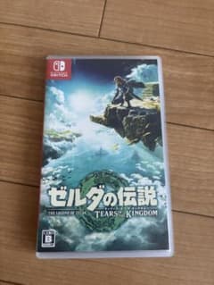 젤다의 전설 티어즈 오브 더 킹덤 Switch