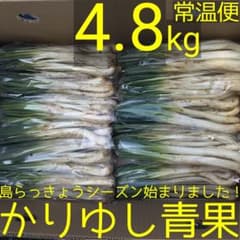 新物〉沖縄県産 島らっきょう 約4.8kg【常温便】① - メルカリ
